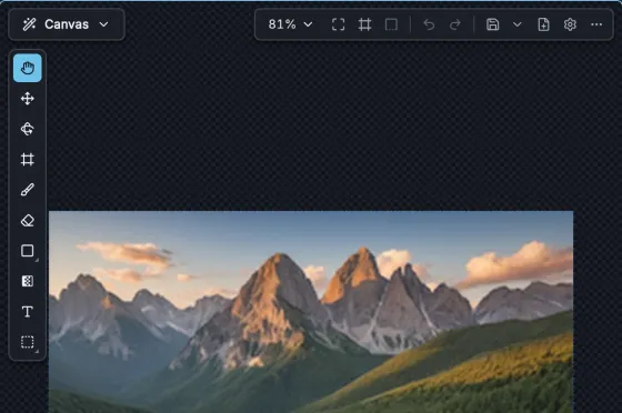 The Canvas with its tool strip on the left and the header buttons along the top: zoom, fit buttons, undo and redo, save, new canvas, settings and more.