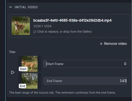 The Initial Video section with a clip loaded: its thumbnail and name, Remove video, and the Trim controls with Start Frame and End Frame thumbnails and values.